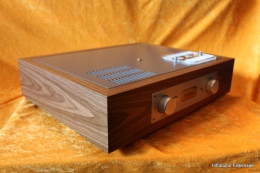 Thivan Labs - P-10 Phono Preamplifier Anniversary