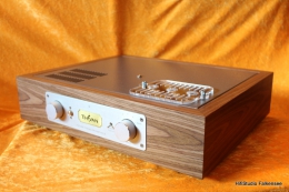 Thivan Labs - P-10 Phono Preamplifier Anniversary