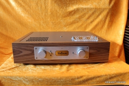 Thivan Labs - P-10 Phono Preamplifier Anniversary