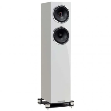 Fyne Audio - F501 SP Standlautsprecher