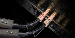AudioQuest - ThunderBird RCA Interconnect Kabel
