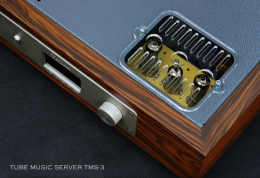 Thivan Labs - Music Server Remote