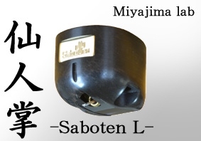 Miyajima - Saboten L MC-Tonabnehmer
