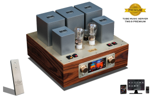 Thivan Labs - TMS-9 Music Server